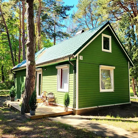 Gedimino 1 Homestay szállás *