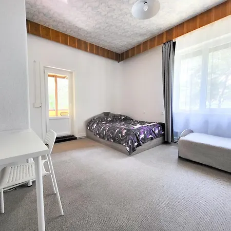 Gedimino 1 Homestay szállás *