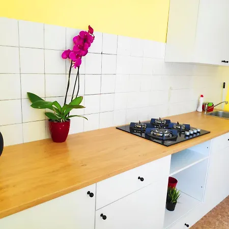 Homestay Gedimino 1 *