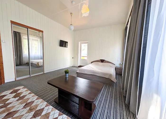 Gedimino 1 民宿 帕兰加